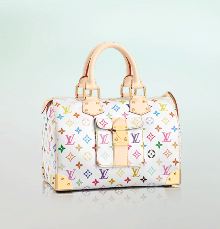 Louis Vuitton Speedy Bag Reference Guide – Spotted Fashion