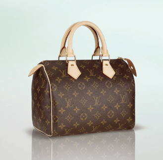 Louis Vuitton Speedy Bag Reference Guide – Spotted Fashion