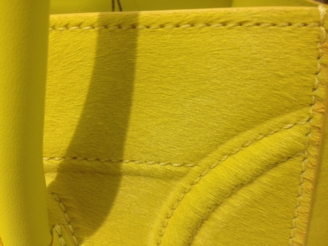Tamara Ecclestone with Celine Citron Yellow Phantom Bag with Pony ...