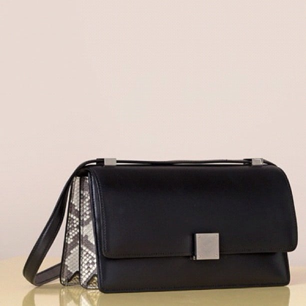 Celine Summer 2013 Bag Collection | Spotted Fashion  