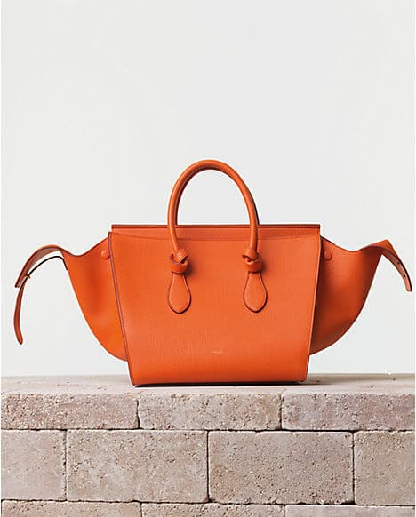 Celine Tie Tote Bag Reference Guide | Spotted Fashion  