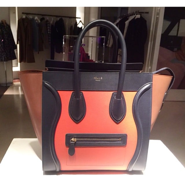Celine Tricolor Bags from Cruise 2015 | Spotted Fashion  