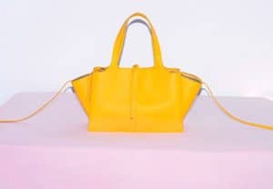 Celine Citrus Small Tri-fold Shoulder Bag