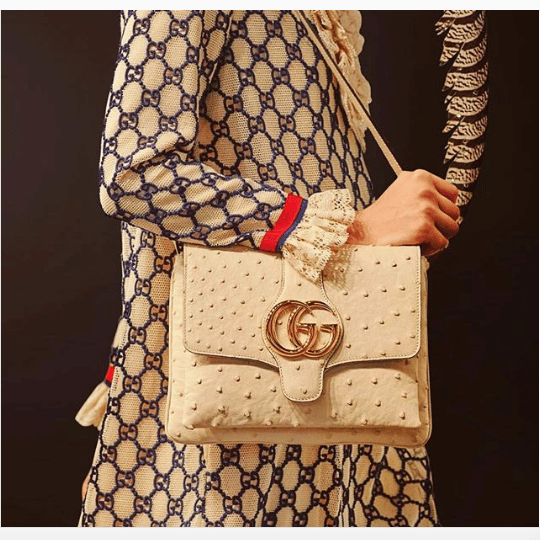 Gucci Cruise 2019 Runway Bag Collection 