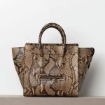 Celine Python Mini Luggage Bag - Winter 2012