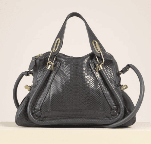 Chloe Paraty Bag Reference Guide - Spotted Fashion