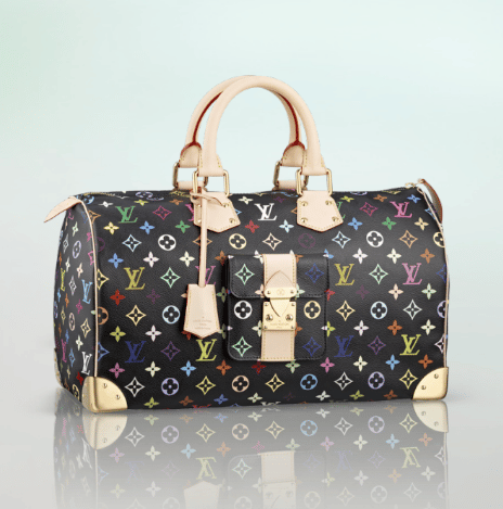 Louis Vuitton Speedy Bag Reference Guide | Spotted Fashion
