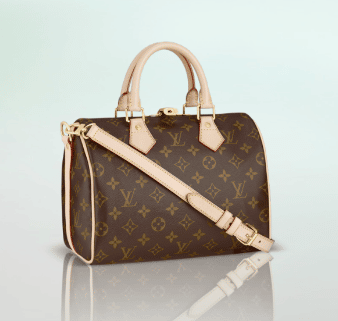 Louis Vuitton Limited Edition Speedy Bag Reference Guide - Spotted Fashion