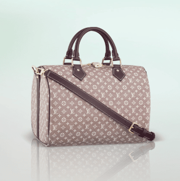 Louis Vuitton Limited Edition Speedy Bag Reference Guide - Spotted