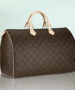 Louis Vuitton Speedy  Bag Reference Guide - Spotted Fashion