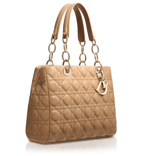 be dior bag discontinued