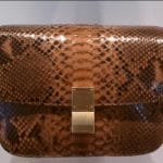 Celine Box bag in orange natural python