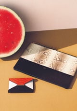 Celine Bright Orange Python Diamond Card Holder : Celine Natural Python Solo Clutch Pouch