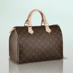 Louis Vuitton Monogram Canvas Speedy 30 Bag