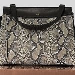 Celine Natural Python Edge Medium Bag