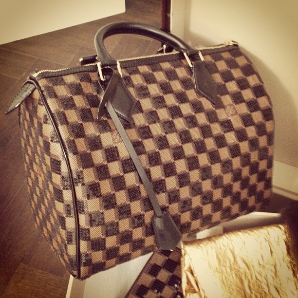 Louis Vuitton Pre-Fall 2013 Runway Bag Collection ...