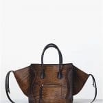 Celine Shaded Pony Calfskin Brown Phantom Bag - Fall 2013