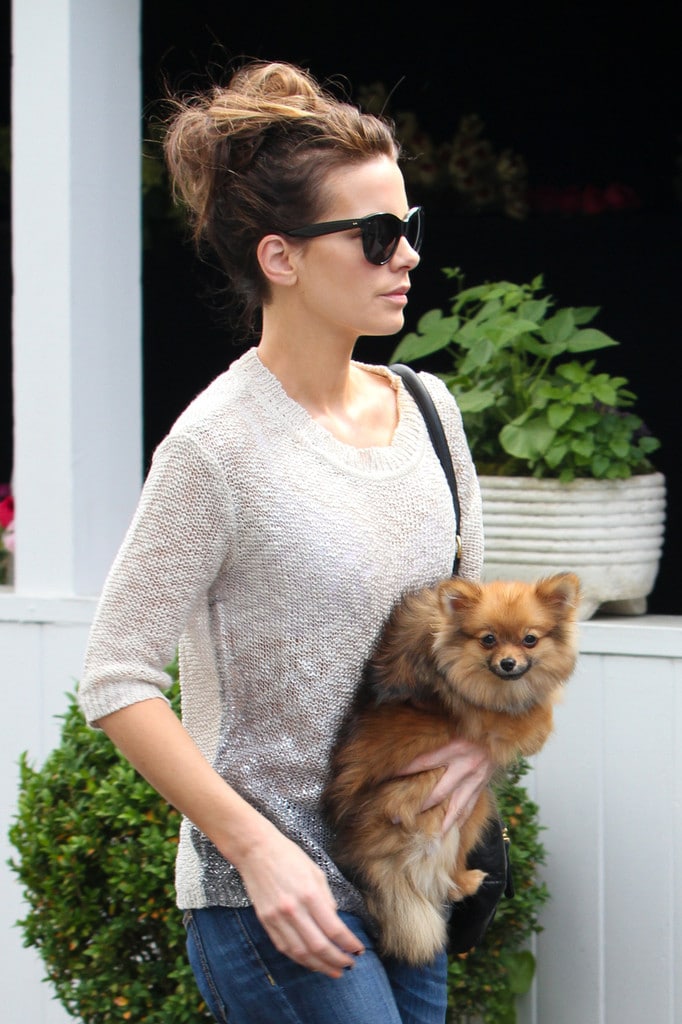 Just Can't Get Enough: Kate Beckinsale and Her Givenchy Pandora Bags -  PurseBlog