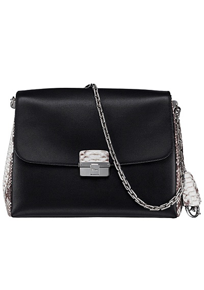 Dior Diorling Bag Reference Guide - Spotted Fashion