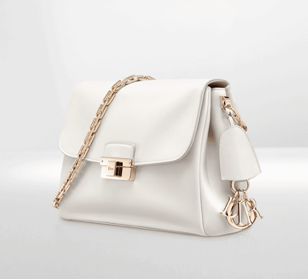 Dior Diorling Bag Reference Guide 