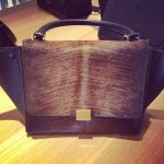 Celine Shaded Calf Hair Trapeze Bag