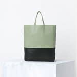 Celine Pistachio Green Bicolor Cabas Bag - Spring 2014