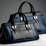 Chloe Royal Navy Alice Python Medium / Leather Large Bags