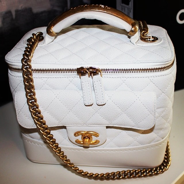 Chanel Globe Trotter Vanity Bag from Fall / Winter 2013 - Spotted