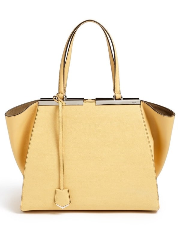 Delvaux Tempête Tote Bag Reference Guide - Spotted Fashion