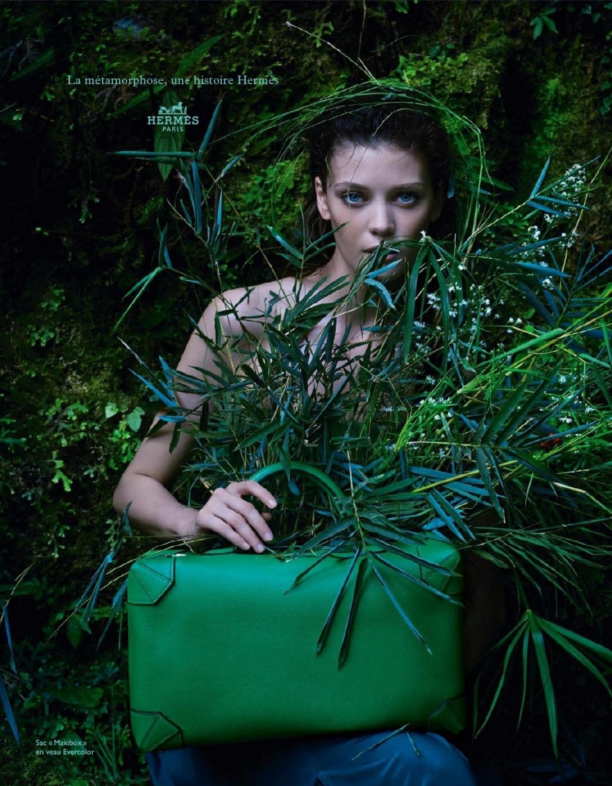 Hermes Spring / Summer 2014 Ad Campaign