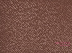 Hermes Brulee