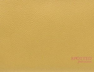 Hermes Curry