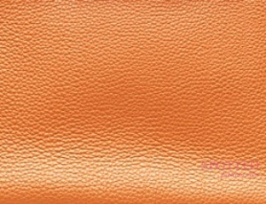 Hermes Orange