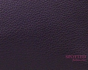 Hermes Raisin