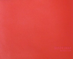 Hermes Vermillion Red