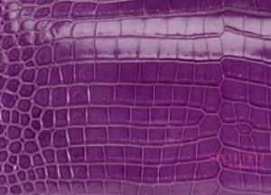 Hermes Violet