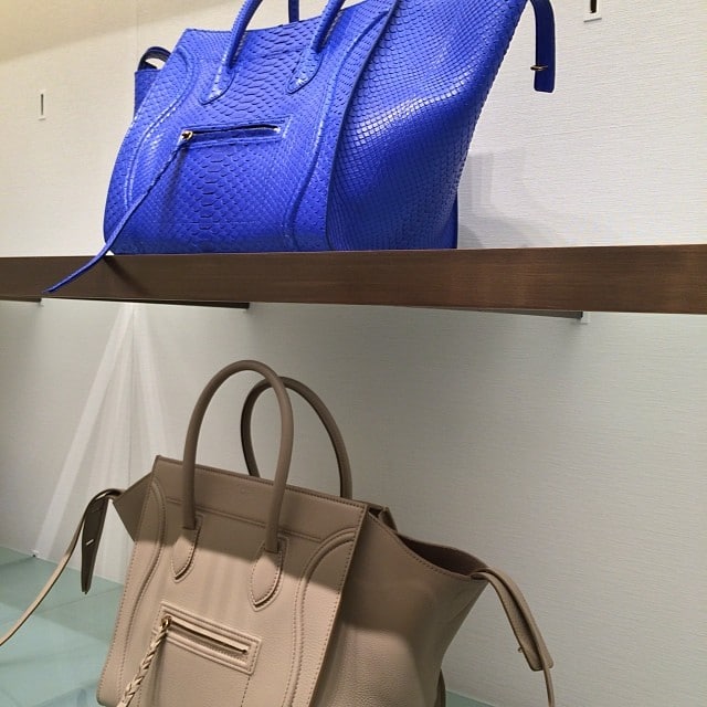 Inside Celine Victor Hugo