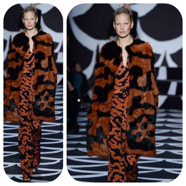 Diane Von Furstenberg Fall Winter 2014