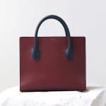 Celine Bicolor Boxy Calfskin Tote Bag - Pre Fall 2014