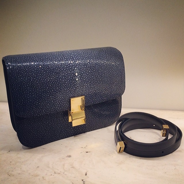 Celine Stingray Box Bag - Spring 2014