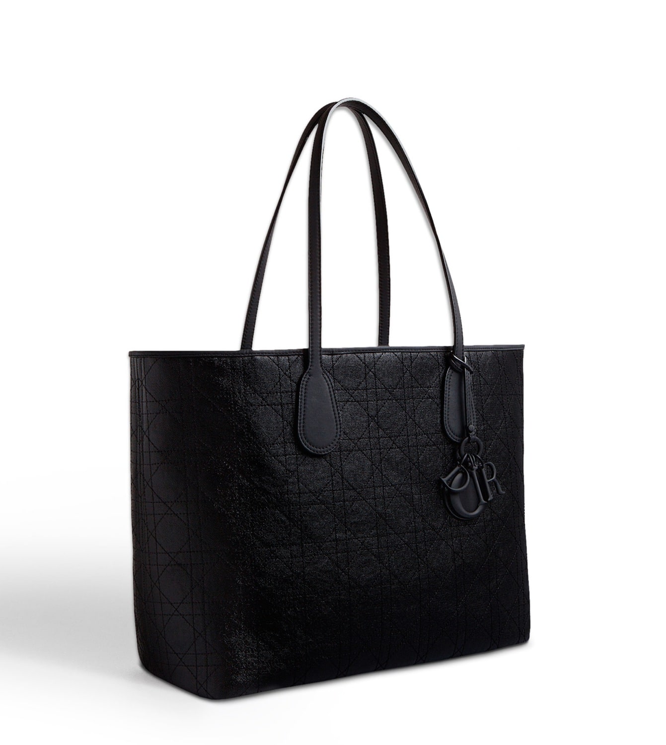 dior panarea tote