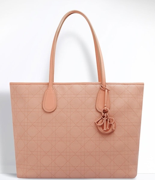 dior panarea tote size