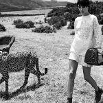 Louis Vuitton Art of Travel with Speedy bag