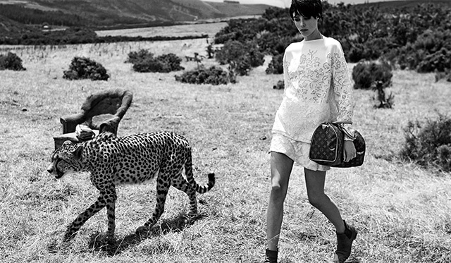 Louis Vuitton Art of Travel with Speedy bag