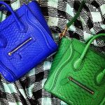 Celine Python Nano Luggage Bag - Summer 2014