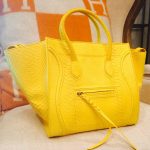 Celine Yellow Primary Python Phantom Bag - Summer 2014