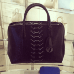 Dior Black Python DiorBar Bag