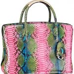 Dior Multicolor Python DiorBar Bag