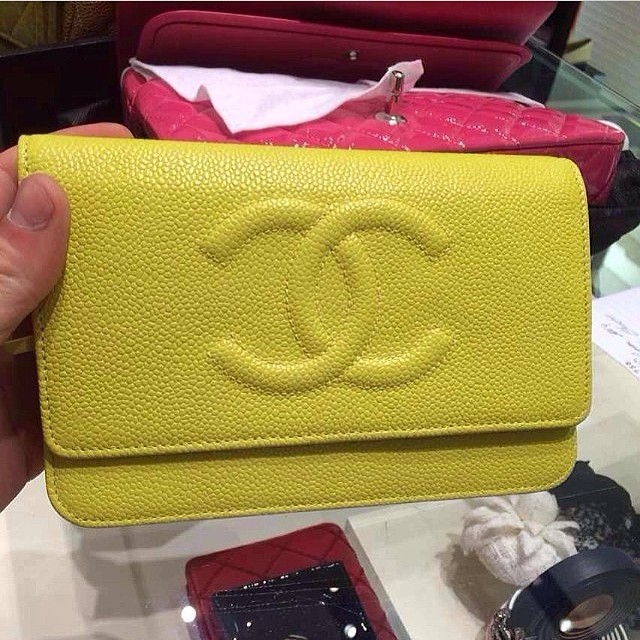 Chanel WOC Bag Reference Guide