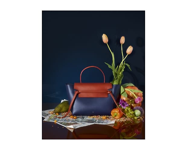 Celine Bicolor Belt Tote Bag - Fall 2014 Ad Campaign - 2
